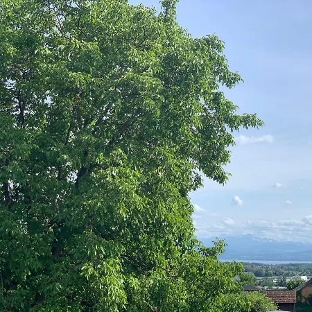 Wanderglueck Am Gehrenberg Apartmán Markdorf