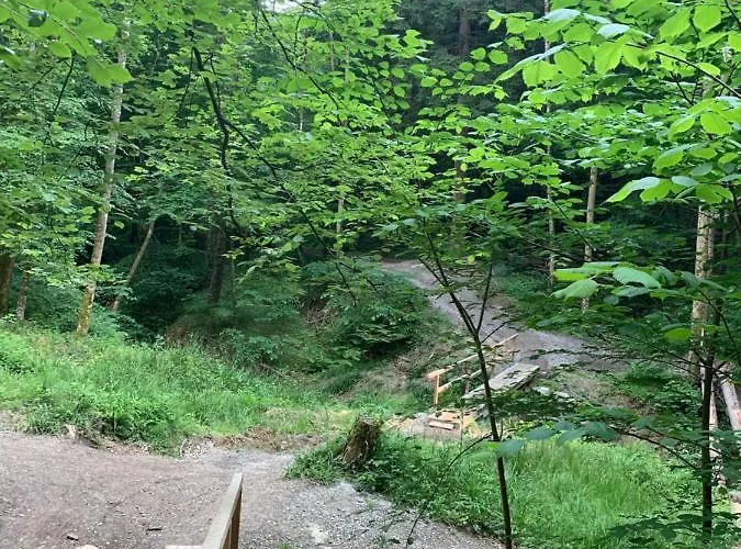 Wanderglueck Am Gehrenberg 公寓 马克多夫