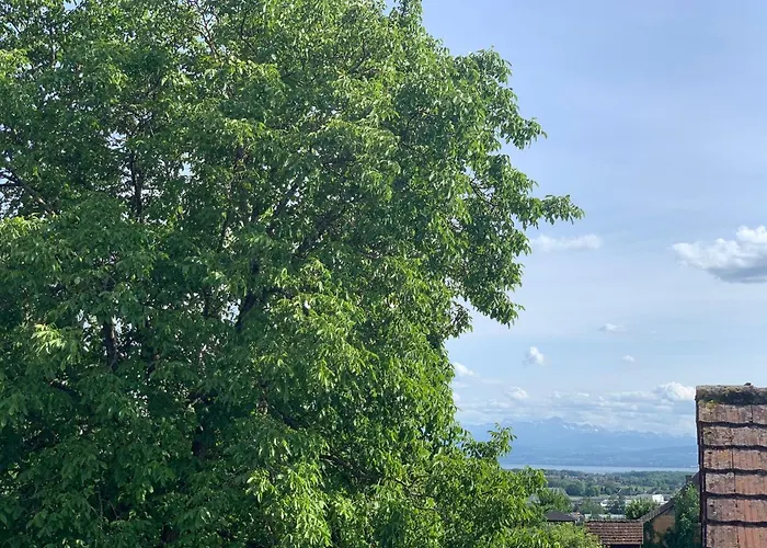 Wanderglueck Am Gehrenberg 公寓 马克多夫